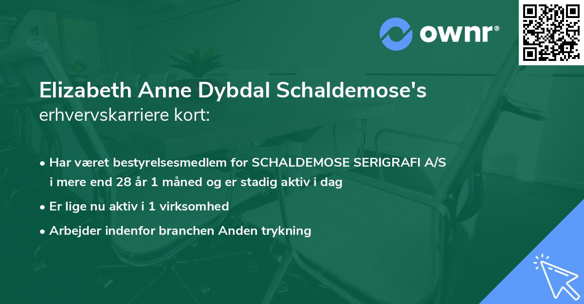 Elizabeth Anne Dybdal Schaldemose's erhvervskarriere kort