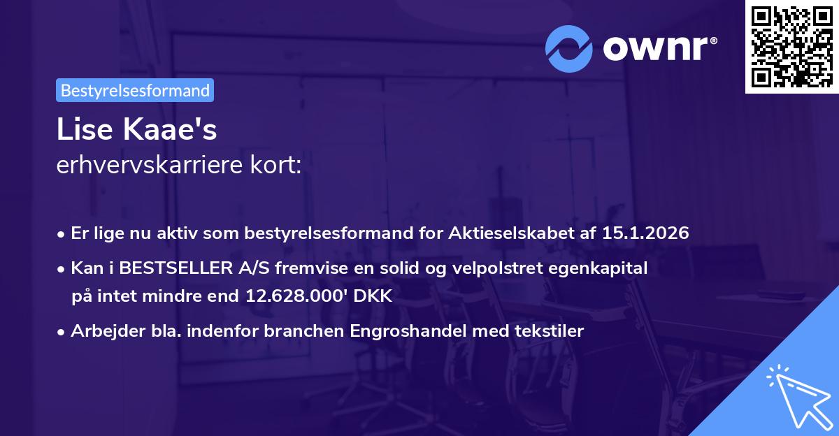 Lise Kaae's erhvervskarriere kort