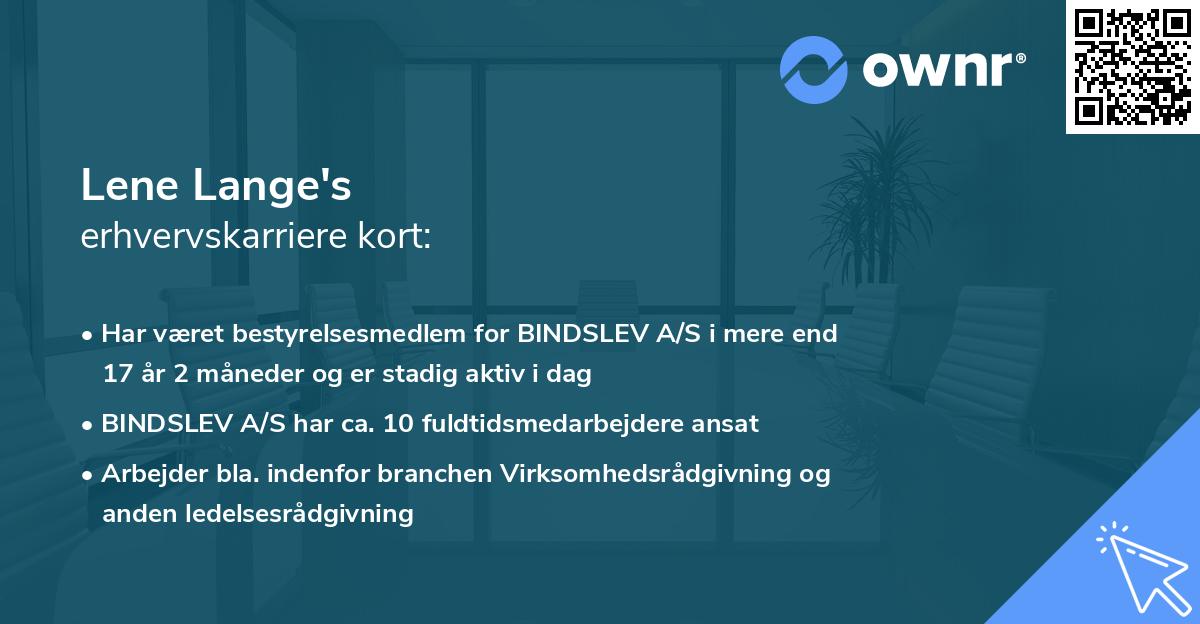 Lene Lange's erhvervskarriere kort