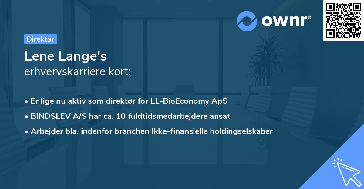 Lene Lange's erhvervskarriere kort