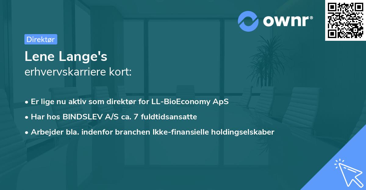 Lene Lange's erhvervskarriere kort