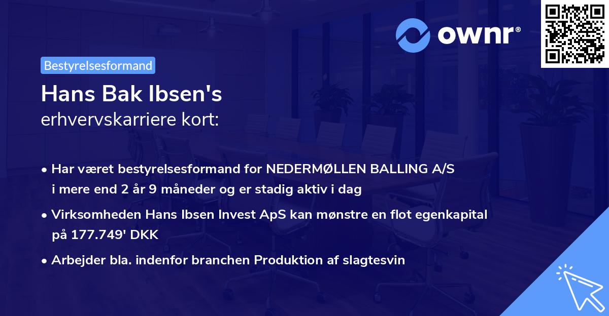Hans Bak Ibsen's erhvervskarriere kort