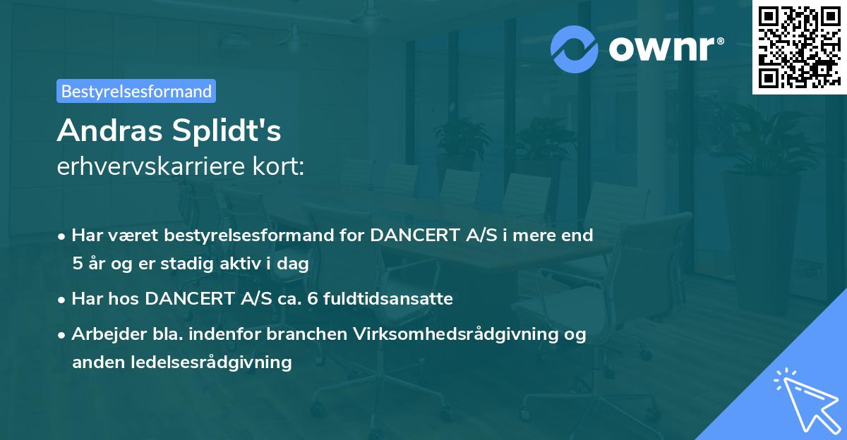 Andras Splidt's erhvervskarriere kort