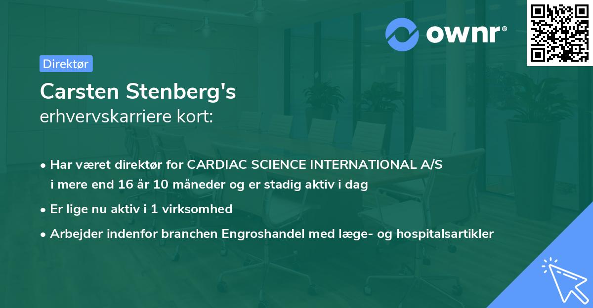 Carsten Stenberg's erhvervskarriere kort