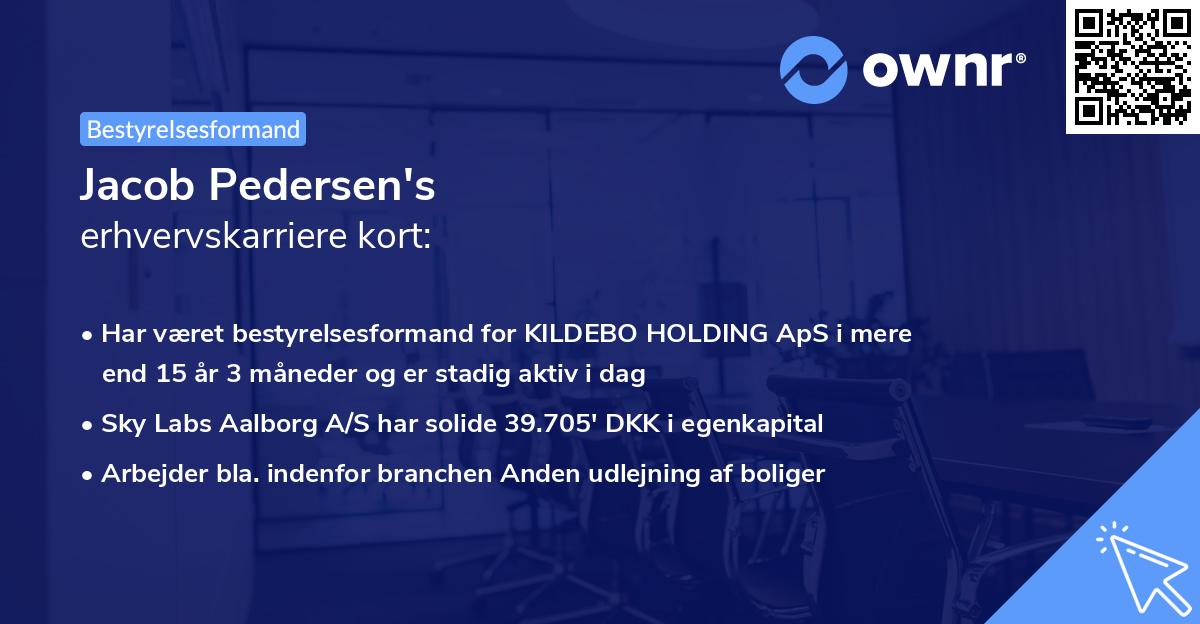 Jacob Pedersen's erhvervskarriere kort