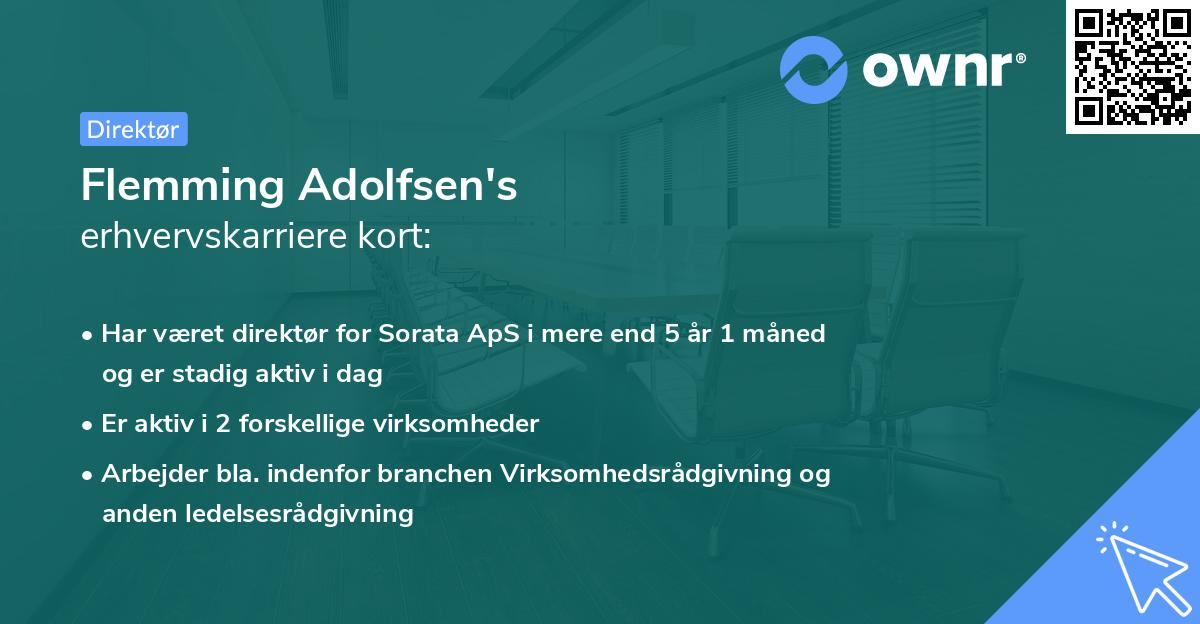 Flemming Adolfsen's erhvervskarriere kort