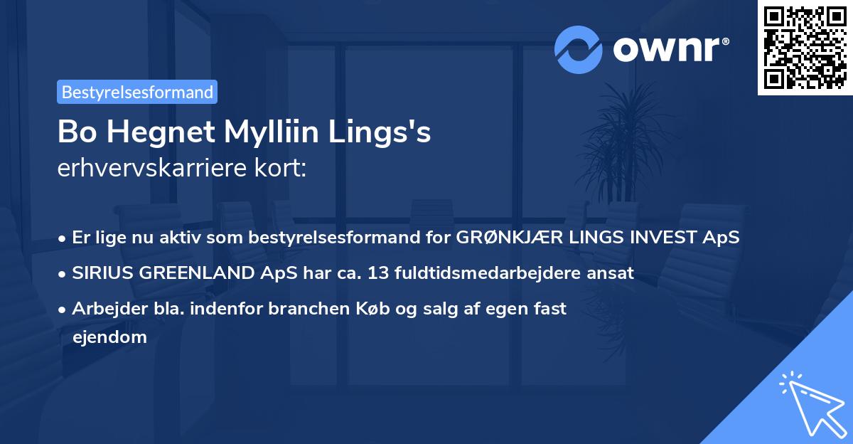 Bo Hegnet Mylliin Lings's erhvervskarriere kort