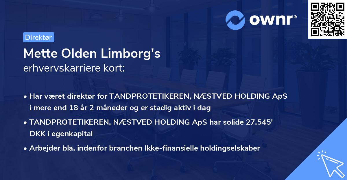 Mette Olden Limborg's erhvervskarriere kort