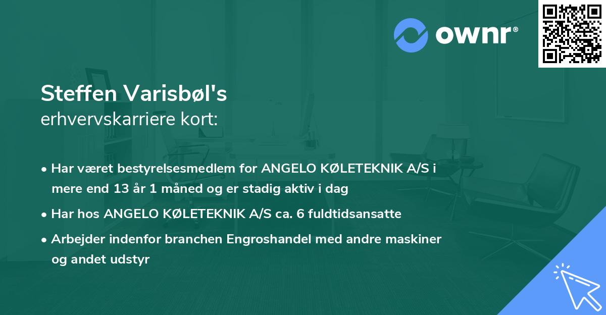 Steffen Varisbøl's erhvervskarriere kort