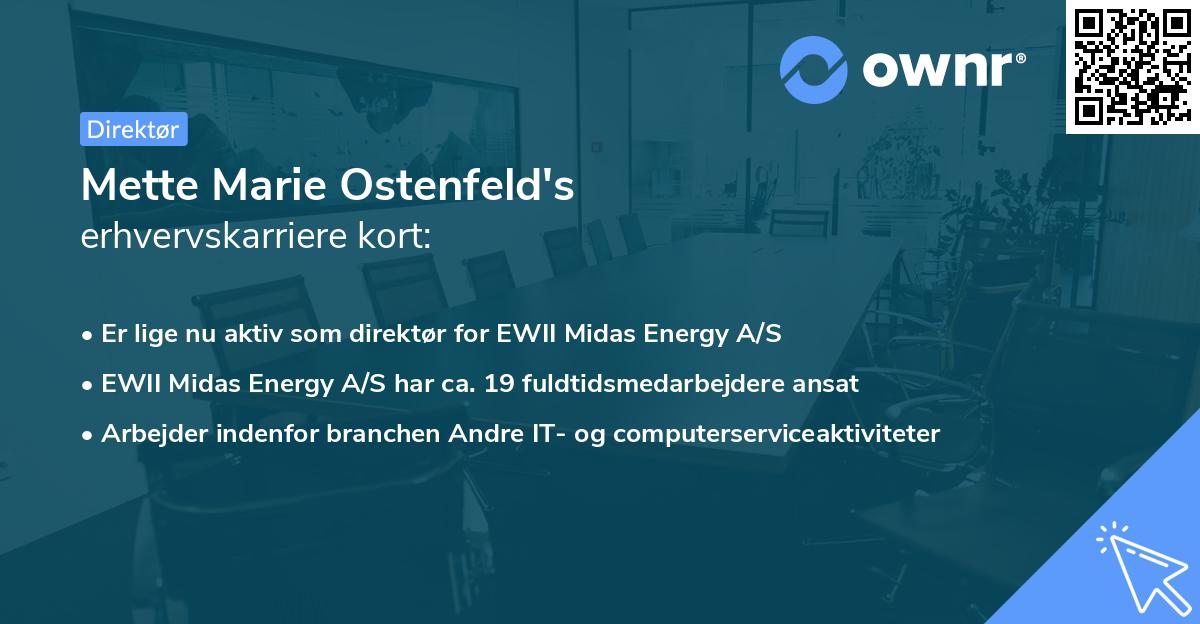 Mette Marie Ostenfeld's erhvervskarriere kort