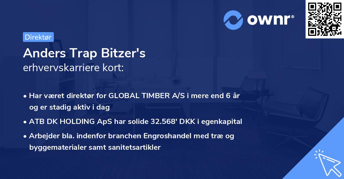 Anders Trap Bitzer's erhvervskarriere kort