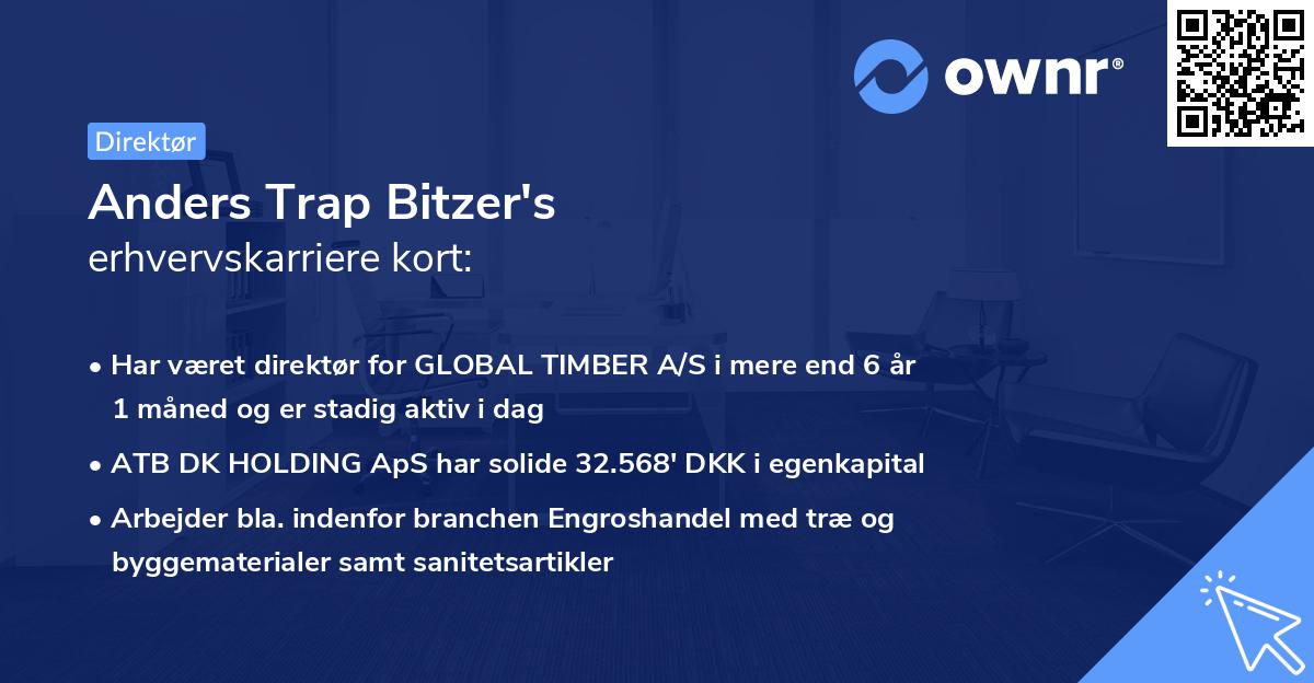 Anders Trap Bitzer's erhvervskarriere kort