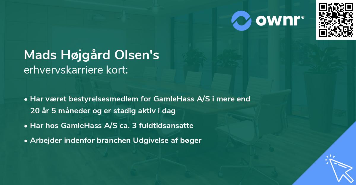 Mads Højgård Olsen's erhvervskarriere kort