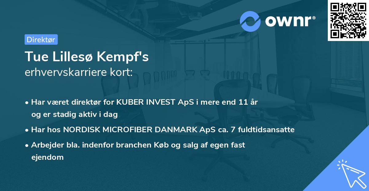 Tue Lillesø Kempf's erhvervskarriere kort