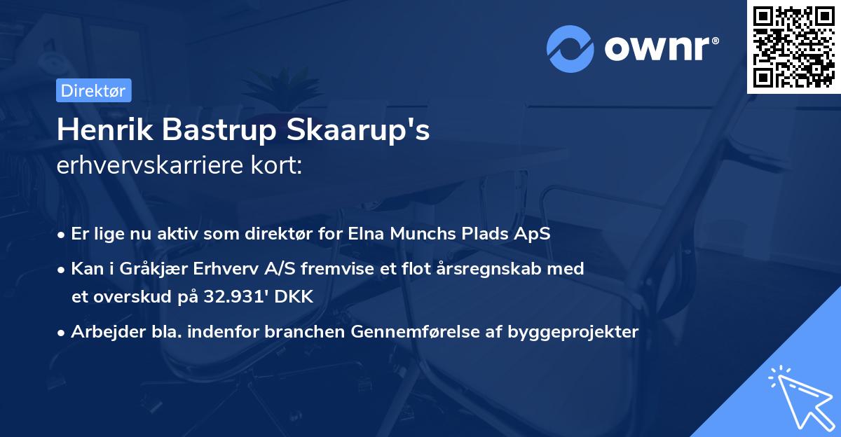 Henrik Bastrup Skaarup's erhvervskarriere kort
