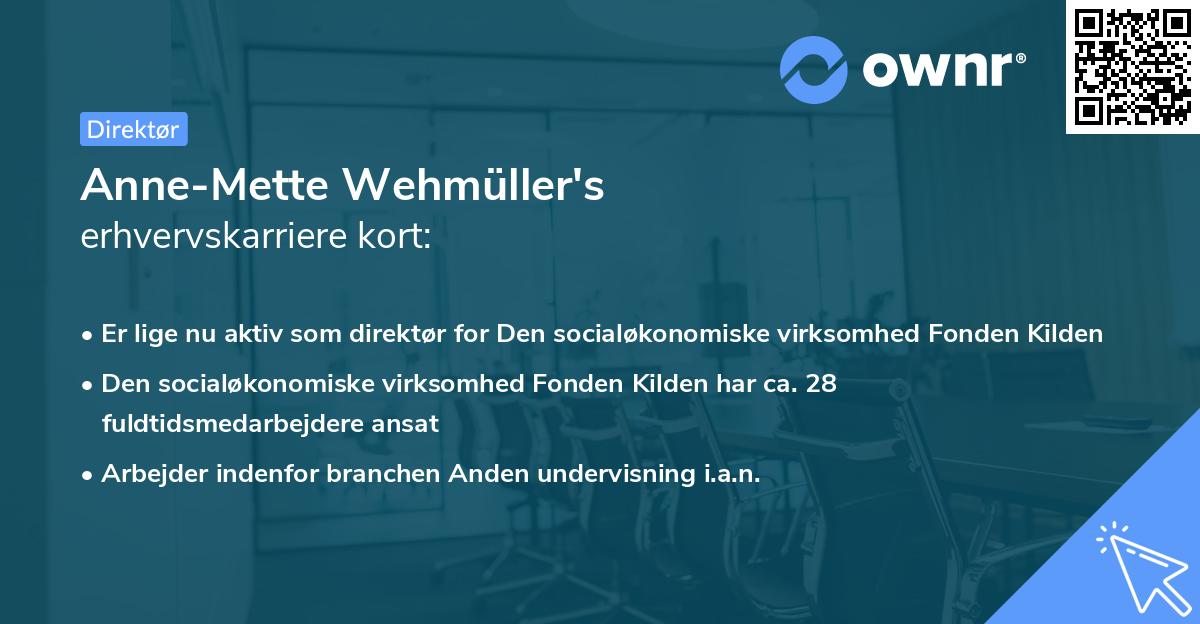 Anne-Mette Wehmüller's erhvervskarriere kort