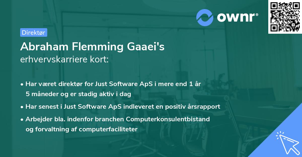 Abraham Flemming Gaaei's erhvervskarriere kort