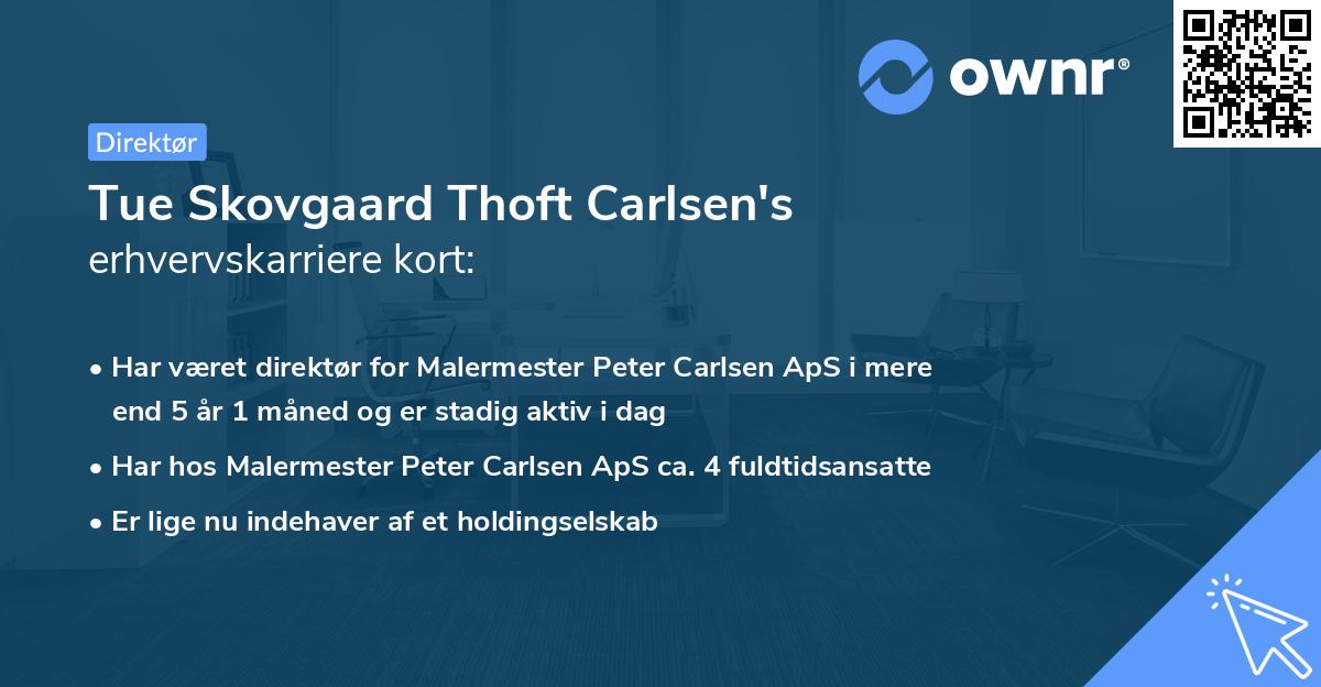 Tue Skovgaard Thoft Carlsen's erhvervskarriere kort