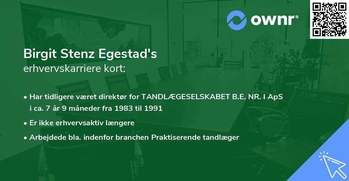 Birgit Stenz Egestad's erhvervskarriere kort