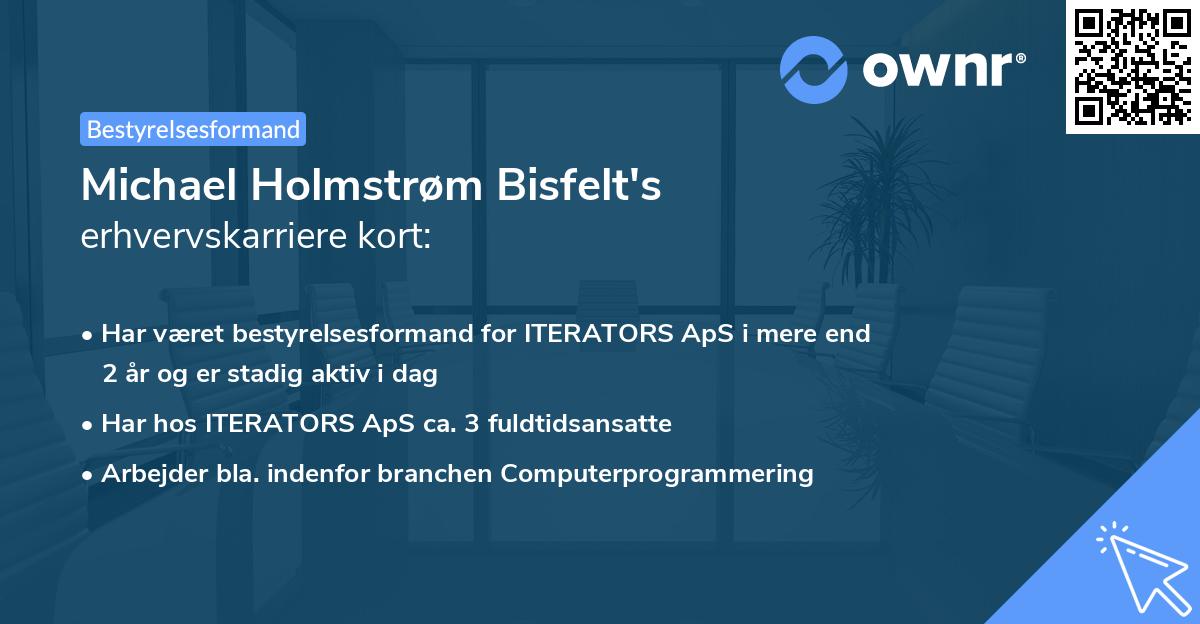 Michael Holmstrøm Bisfelt's erhvervskarriere kort