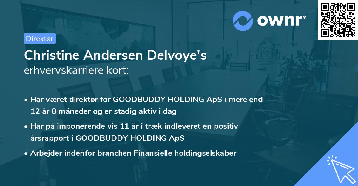 Christine Andersen Delvoye's erhvervskarriere kort