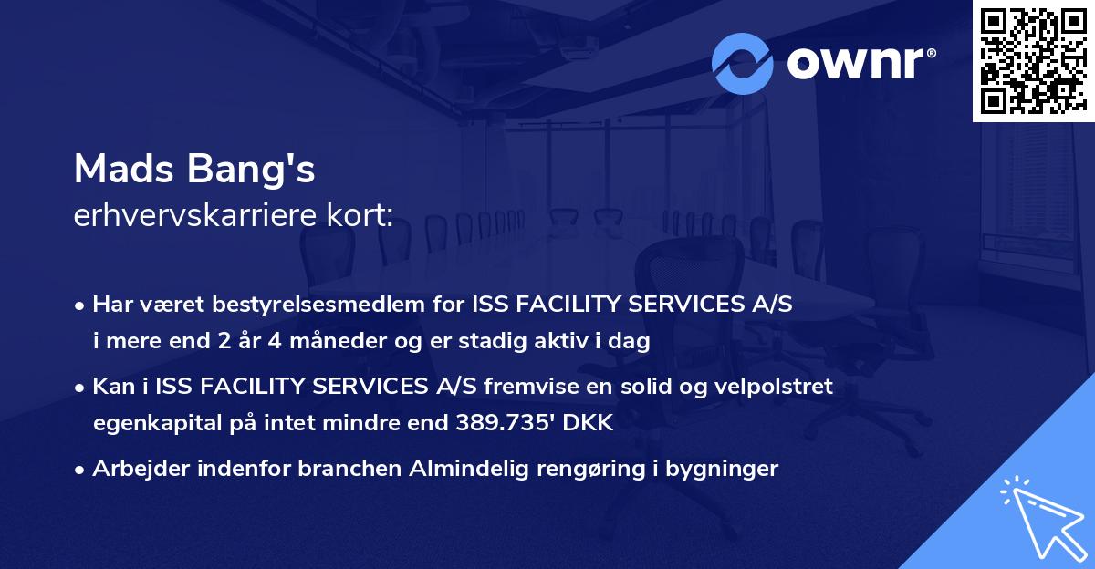 Mads Bang's erhvervskarriere kort