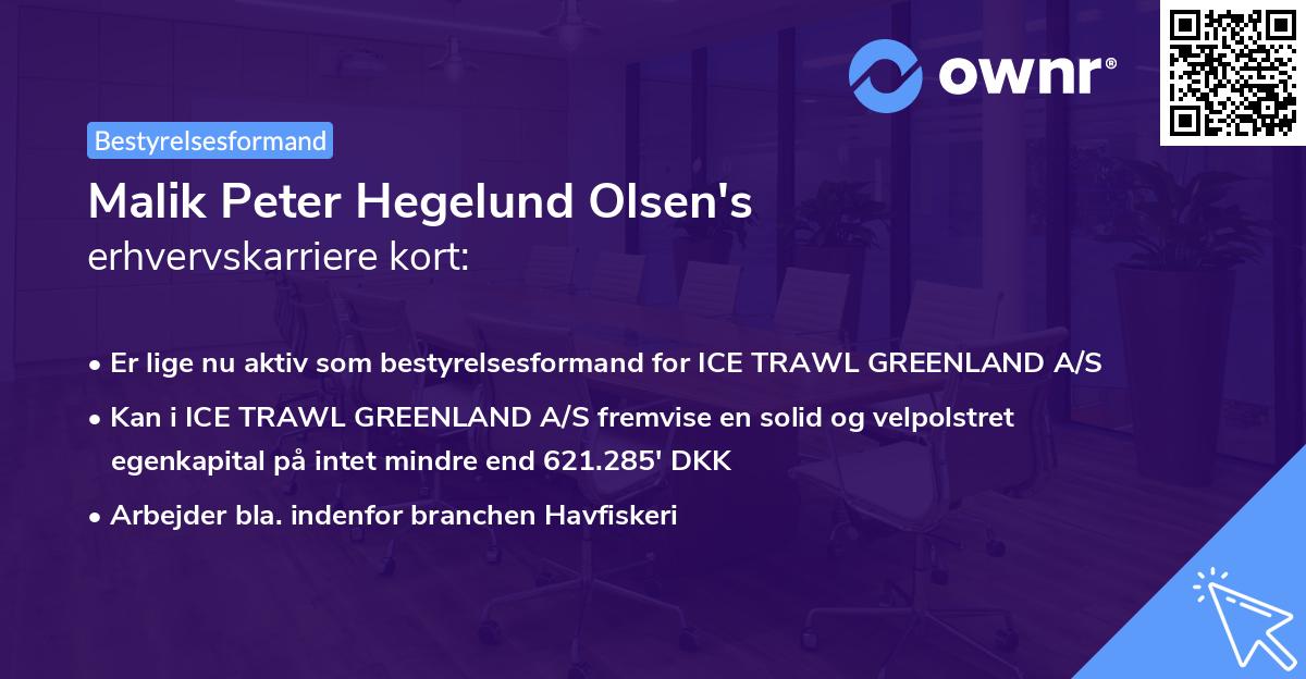 Malik Peter Hegelund Olsen's erhvervskarriere kort
