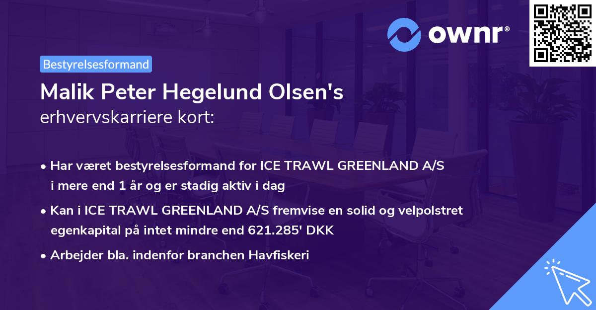 Malik Peter Hegelund Olsen's erhvervskarriere kort