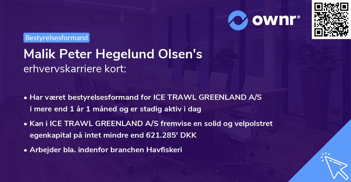 Malik Peter Hegelund Olsen's erhvervskarriere kort