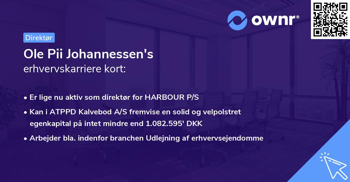 Ole Pii Johannessen's erhvervskarriere kort