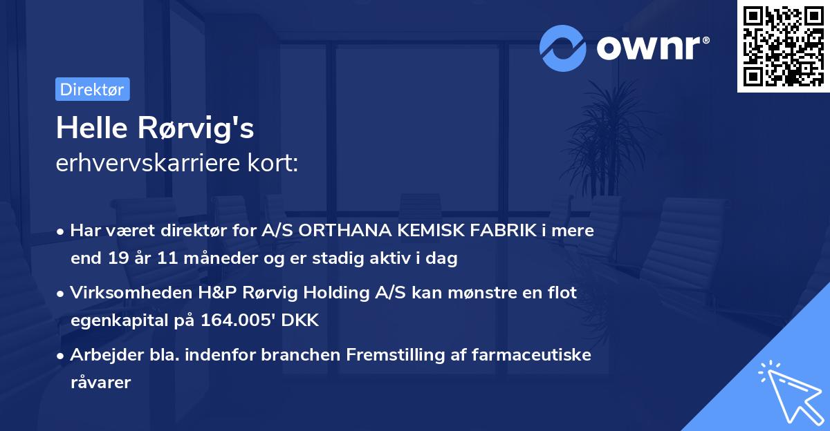 Helle Rørvig's erhvervskarriere kort