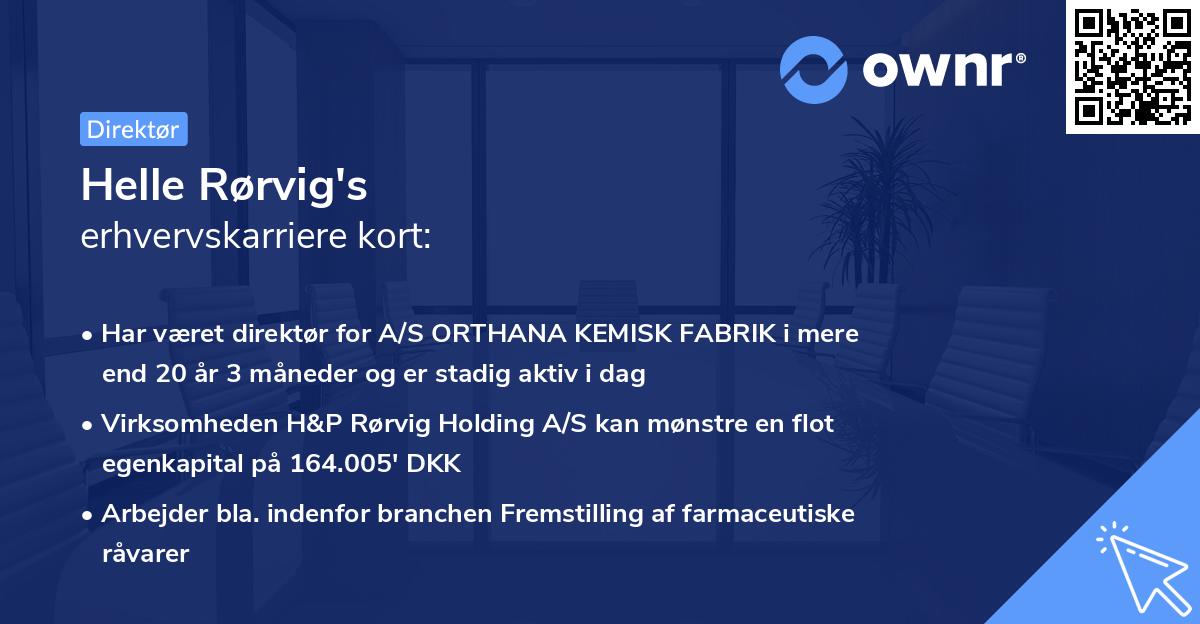 Helle Rørvig's erhvervskarriere kort