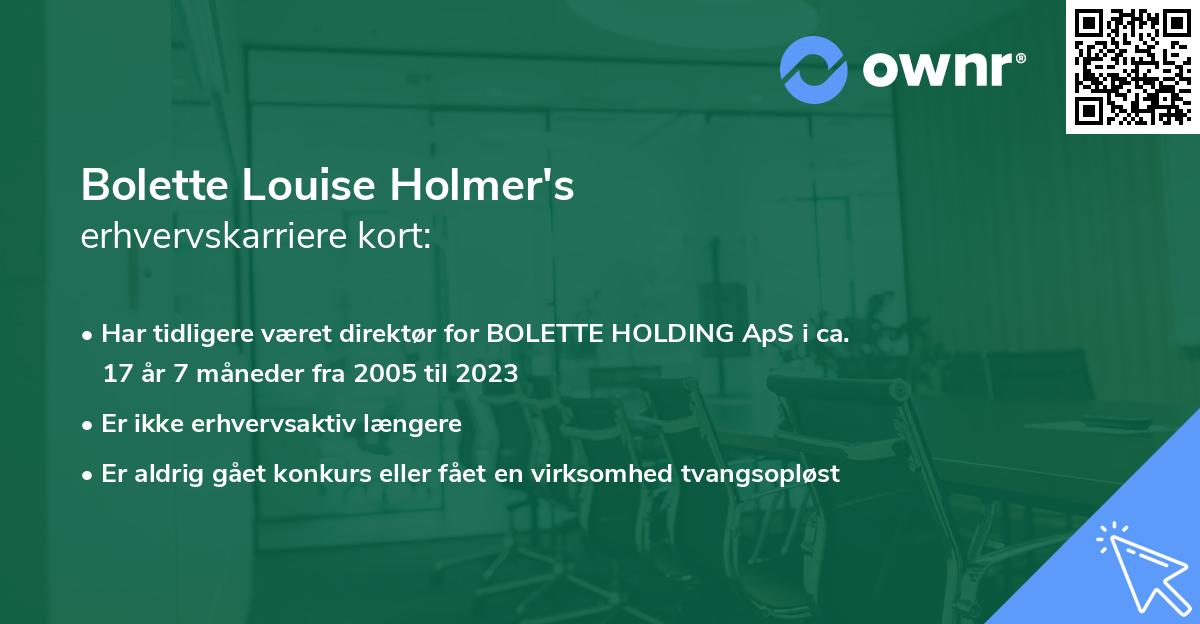 Bolette Louise Holmer's erhvervskarriere kort