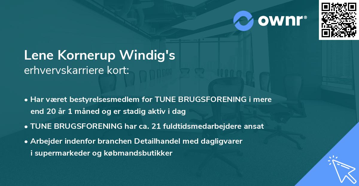 Lene Kornerup Windig's erhvervskarriere kort