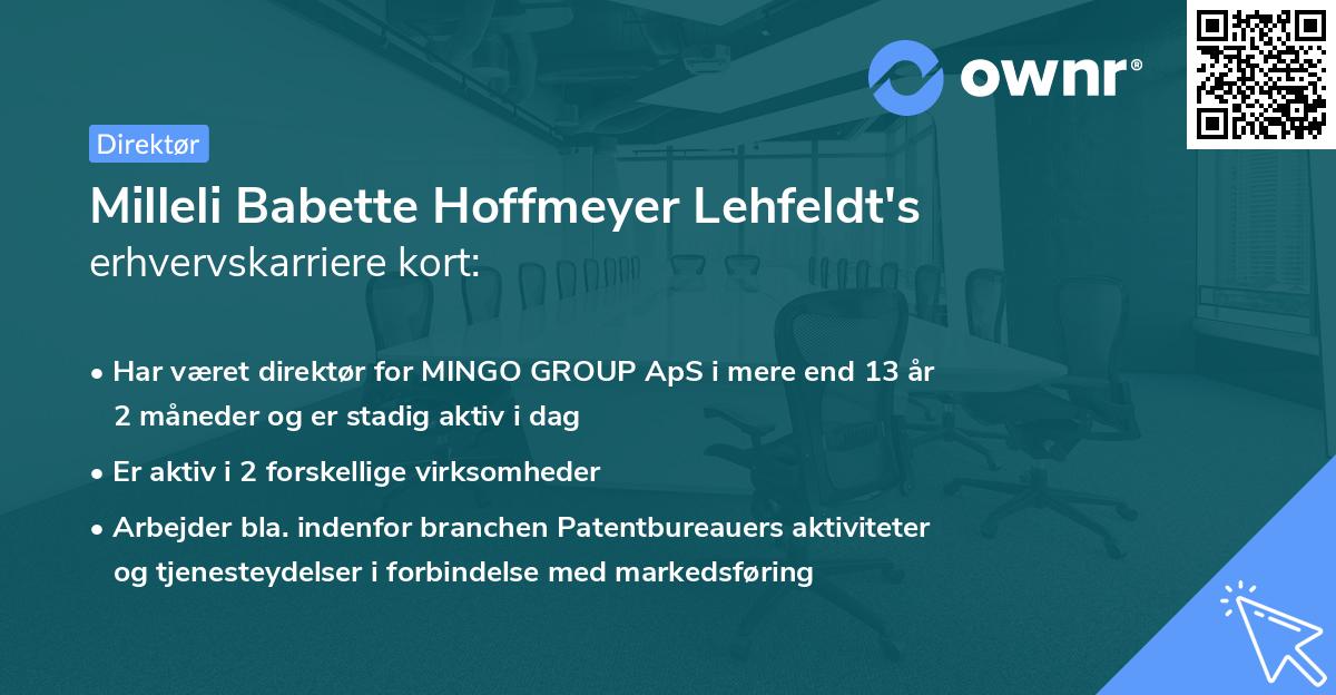 Milleli Babette Hoffmeyer Lehfeldt's erhvervskarriere kort