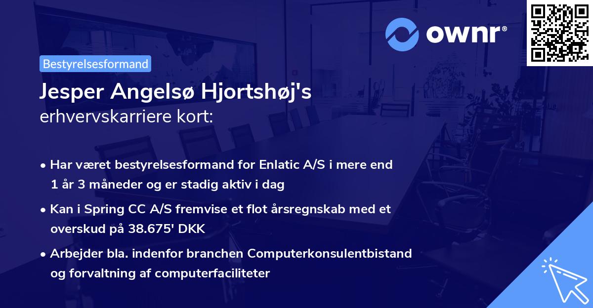 Jesper Angelsø Hjortshøj's erhvervskarriere kort