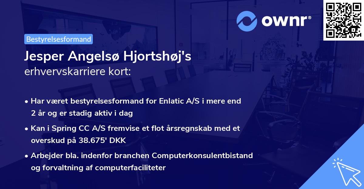 Jesper Angelsø Hjortshøj's erhvervskarriere kort
