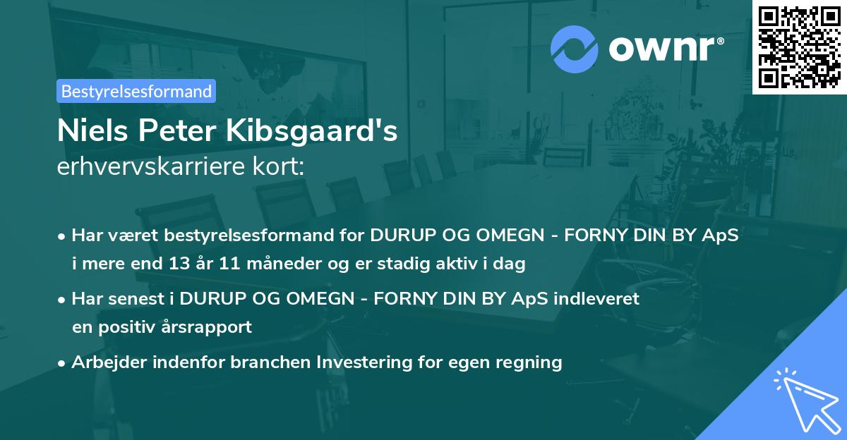Niels Peter Kibsgaard's erhvervskarriere kort