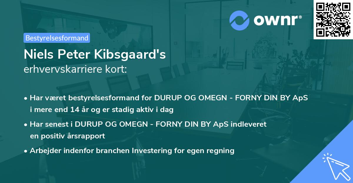 Niels Peter Kibsgaard's erhvervskarriere kort