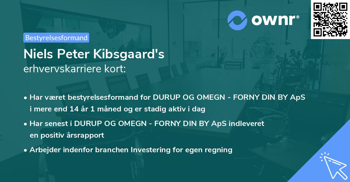 Niels Peter Kibsgaard's erhvervskarriere kort