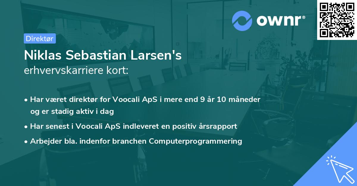 Niklas Sebastian Larsen's erhvervskarriere kort