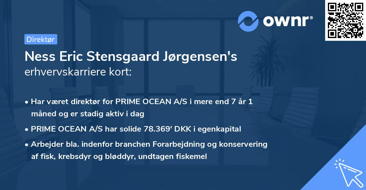 Ness Eric Stensgaard Jørgensen's erhvervskarriere kort
