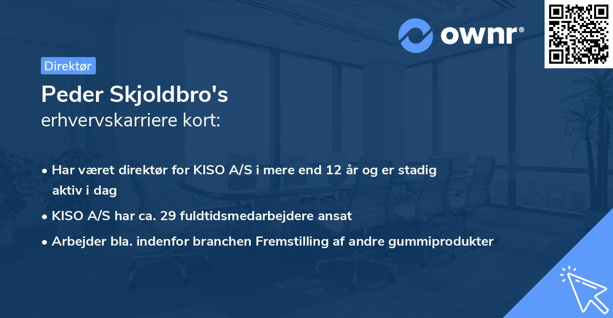 Peder Skjoldbro's erhvervskarriere kort