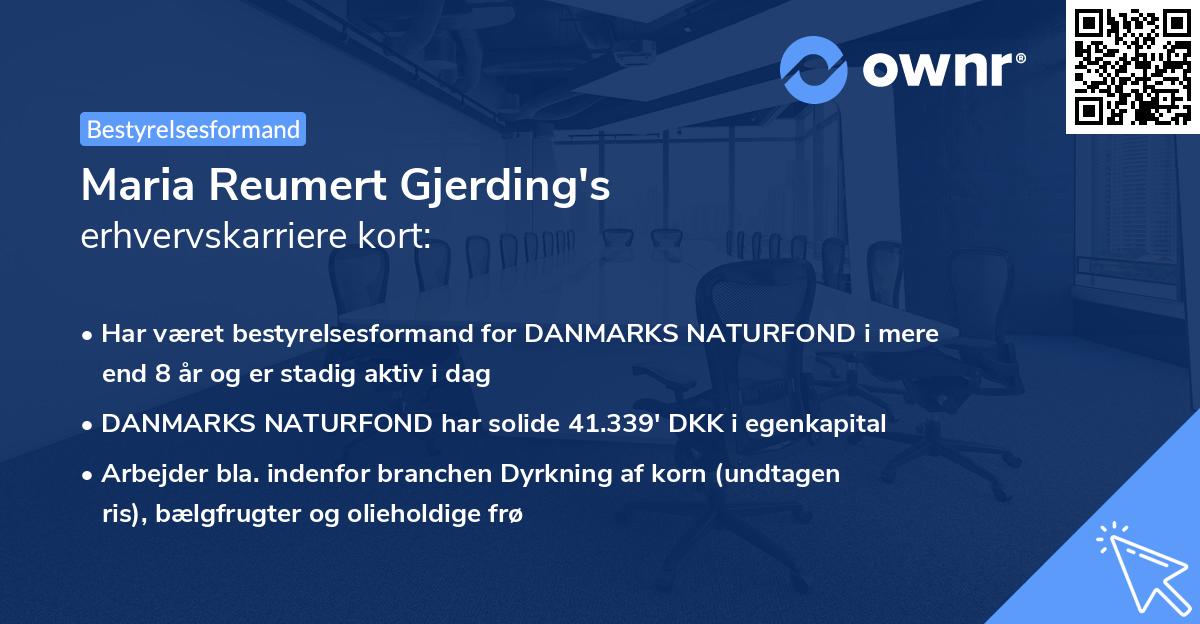Maria Reumert Gjerding's erhvervskarriere kort
