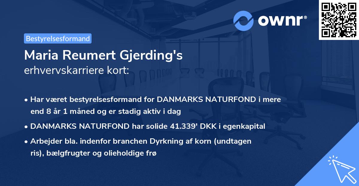 Maria Reumert Gjerding's erhvervskarriere kort