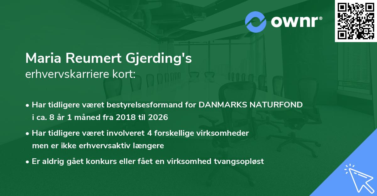 Maria Reumert Gjerding's erhvervskarriere kort