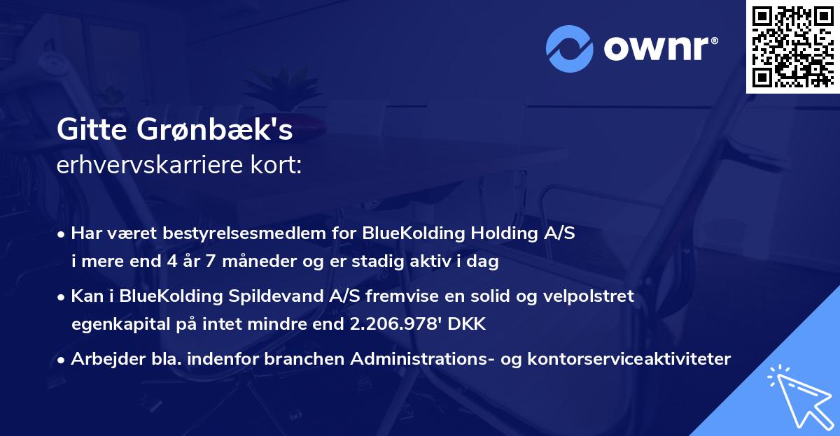 Gitte Grønbæk's erhvervskarriere kort