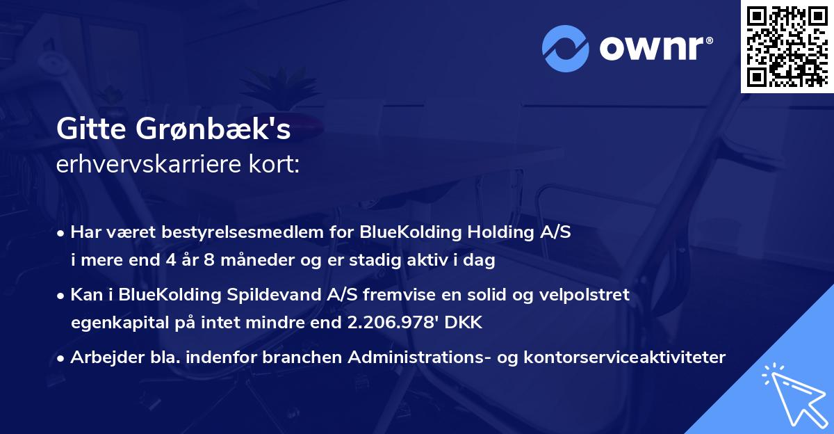 Gitte Grønbæk's erhvervskarriere kort
