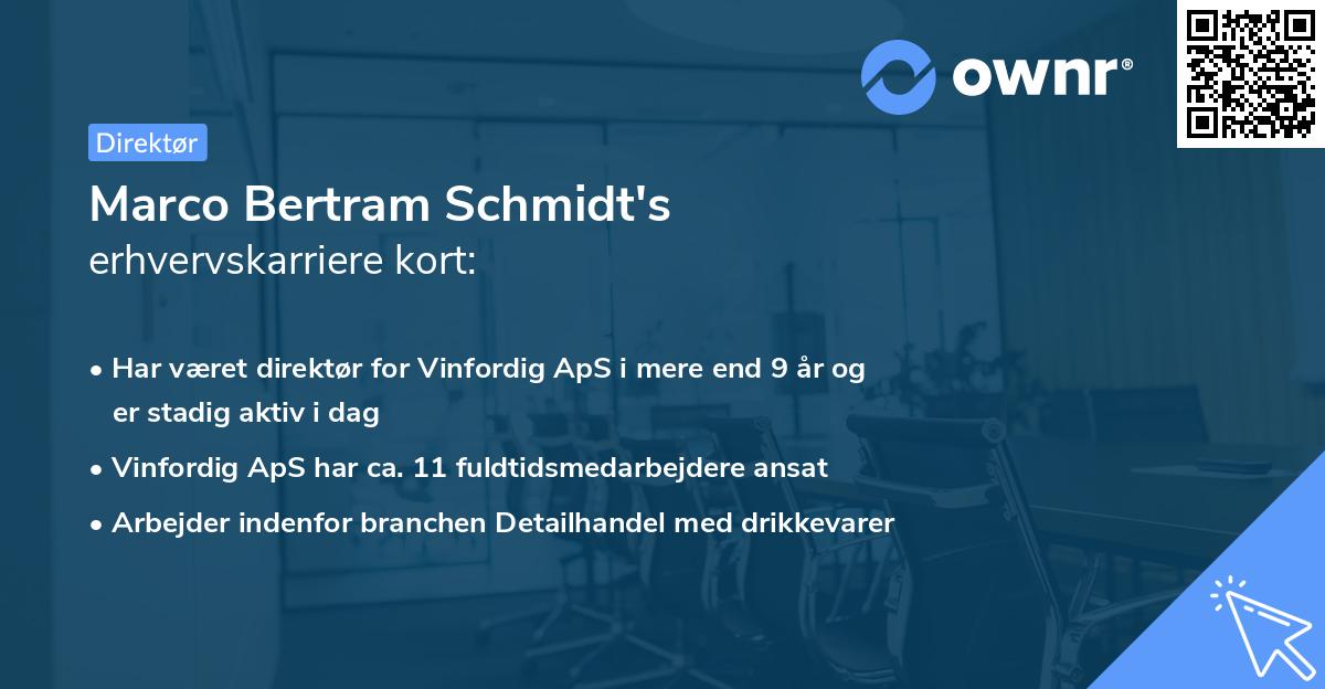 Marco Bertram Schmidt's erhvervskarriere kort