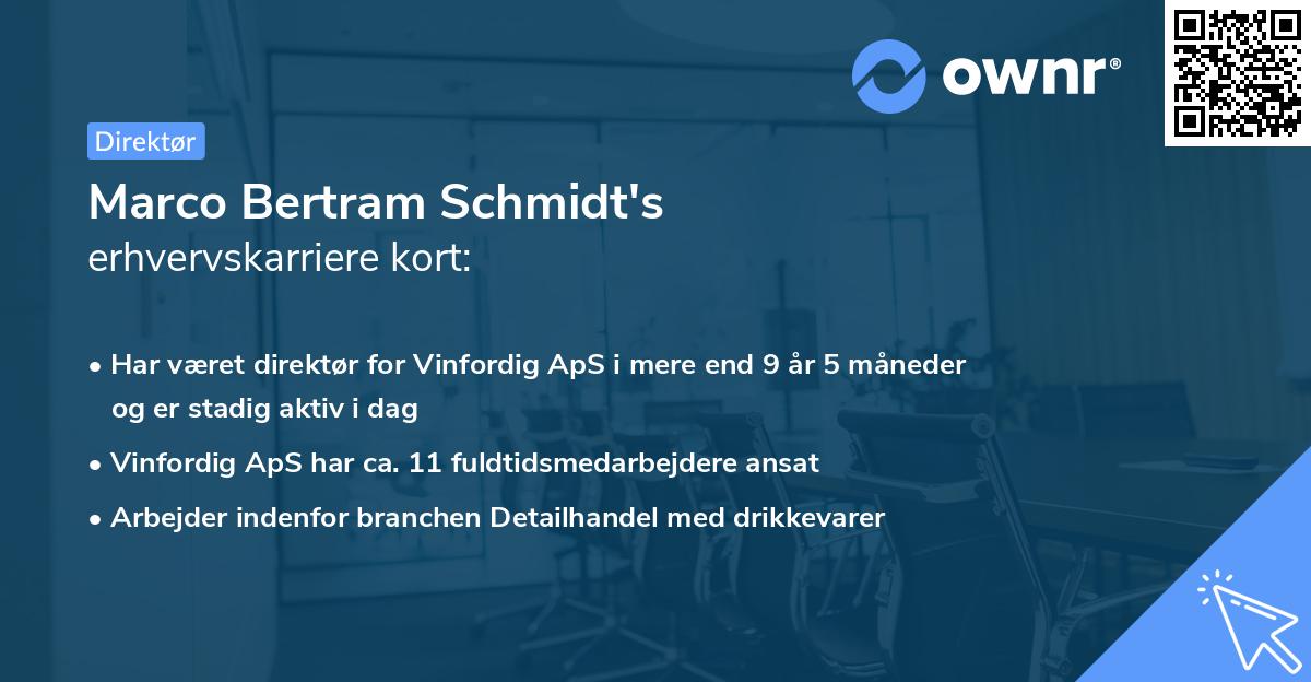 Marco Bertram Schmidt's erhvervskarriere kort